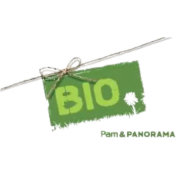 LOGO PAM & PANORAMA