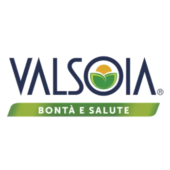 LOGO VALSOIA