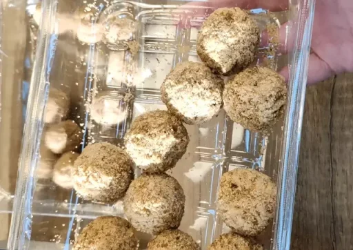 confezione polpette vemondo gusto pomodoro